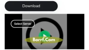 Screenshot of Aniorb App Download_Borrf.Com