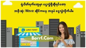 Screenshot of Wave Money Apk Download_Borrf.Com