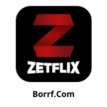 ZetFlix App Apk For Android_Borrf.Com